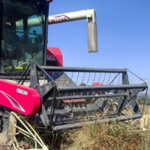 嘉禾县珠泉镇秸秆利用见成效 