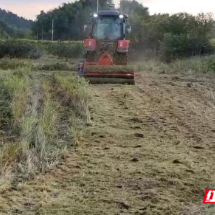 永兴县：秸秆“变废为宝” 串起农业生态链