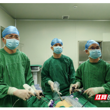 一份充满分量的“生命感谢”