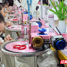 桂东县：车间小齿轮转动就业大民生‌