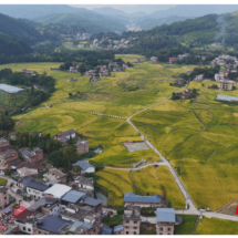 “解渴”又增收!基建点亮桂东乡村丰收路