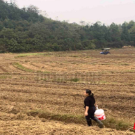 安仁县龙市:“免费翻耕”暖民心 “秸秆还田”促双赢