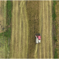 临武县:“订单+政策”双保障 铺就农户增收路