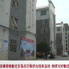 苏仙区良田镇易地搬迁安置点开展综合服务活动