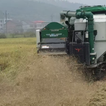 安仁县:秸秆变“绿肥”还田地更肥