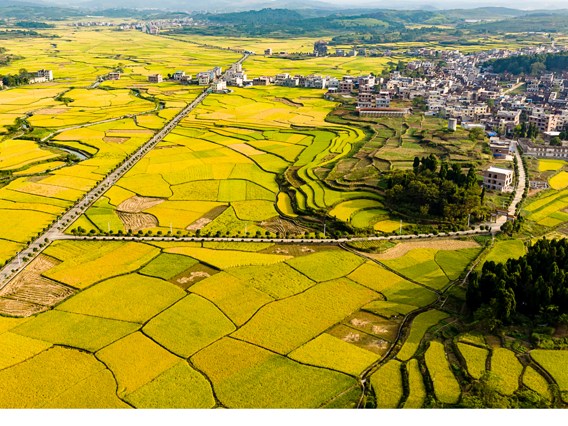 嘉禾县普满乡:三维发力按下医保征缴“加速键”