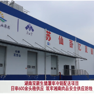 湖南双新生猪:日宰600余头稳供应