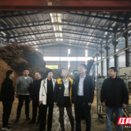 临武县县政协开展“深入调查研究 积极建言献策 助力巩拓工作”专题活动