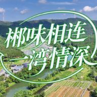 视频 | 郴味相连  一湾情深