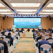 桂东县荣膺“世界长寿乡”称号 中医养生点燃县域发展新路径