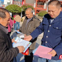 桂东县沙田镇：开展全国交通安全日主题宣传活动