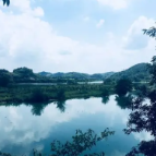 轮椅架起连心桥 中行适老服务暖夕阳