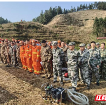 桂东县:区域联动筑防线 实战演练护青山