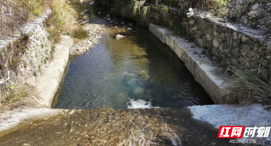 桂东县:代表“微建议”点亮百姓“大民生”