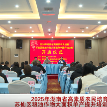 湖南省高素质农民培育苏仙区粮油作物大面积单产提升培训班开班