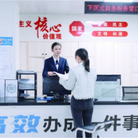 政务沉一线 数据润民生——郴州市数据局以改革绘就便民新图景