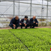 桂东县:清风拂绿海 监督促增收