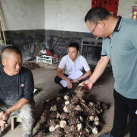 新时代老兵新传 | 扎根乡村沃野 绽放军人本色