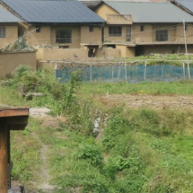 散文 | 岩田里的乡愁