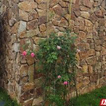 散文 | 栖于岩田