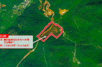 产业新支点赋能苏仙“智”造！坳上镇百亩工业用地成功摘牌...