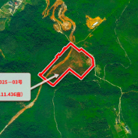 产业新支点赋能苏仙“智”造！坳上镇百亩工业用地成功摘牌...