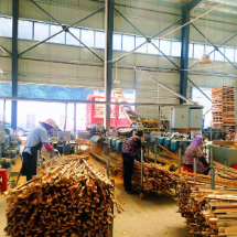 非凡十四五·汝城县集益乡：青山绿水间谱写乡村振兴新篇章