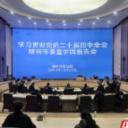 郴州市数据局举行学习贯彻党的二十届四中全会精神市委宣讲团报告会