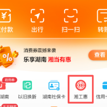 湘工惠领农博会优惠券攻略｜手把手教你薅福利