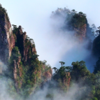牢记嘱托 | 三位“土博士”与一座青山的守望
