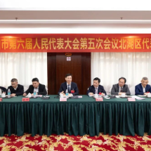 阚保勇参加北湖代表团审议:乘势而上 勇挑大梁 为全市大局作出更大贡献