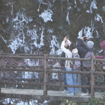 宜章莽山：壮美雾凇“醉”游人