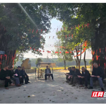 桂阳县：创新“三招”提升社会文明程度