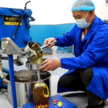 汝城县：茶油飘香 产销两旺富乡邻