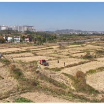 嘉禾县珠泉镇:秸秆“变废为宝” 走出生态农业双赢路