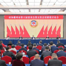 吴巨培参加政协郴州市六届五次会议第一联组讨论：取得新进步 开创新气象 攀登新台阶