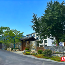 桂东县四都镇:四红党建强引领 乡土人才促振兴