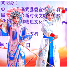 学习贯彻党的二十届四中全会精神 | 临武县：理论宣讲聚民心 送戏下乡添年味