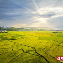 汝城沙洲：实事跨村办  服务暖心坎