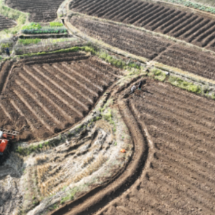 宜章县:4万亩烟田翻耕忙