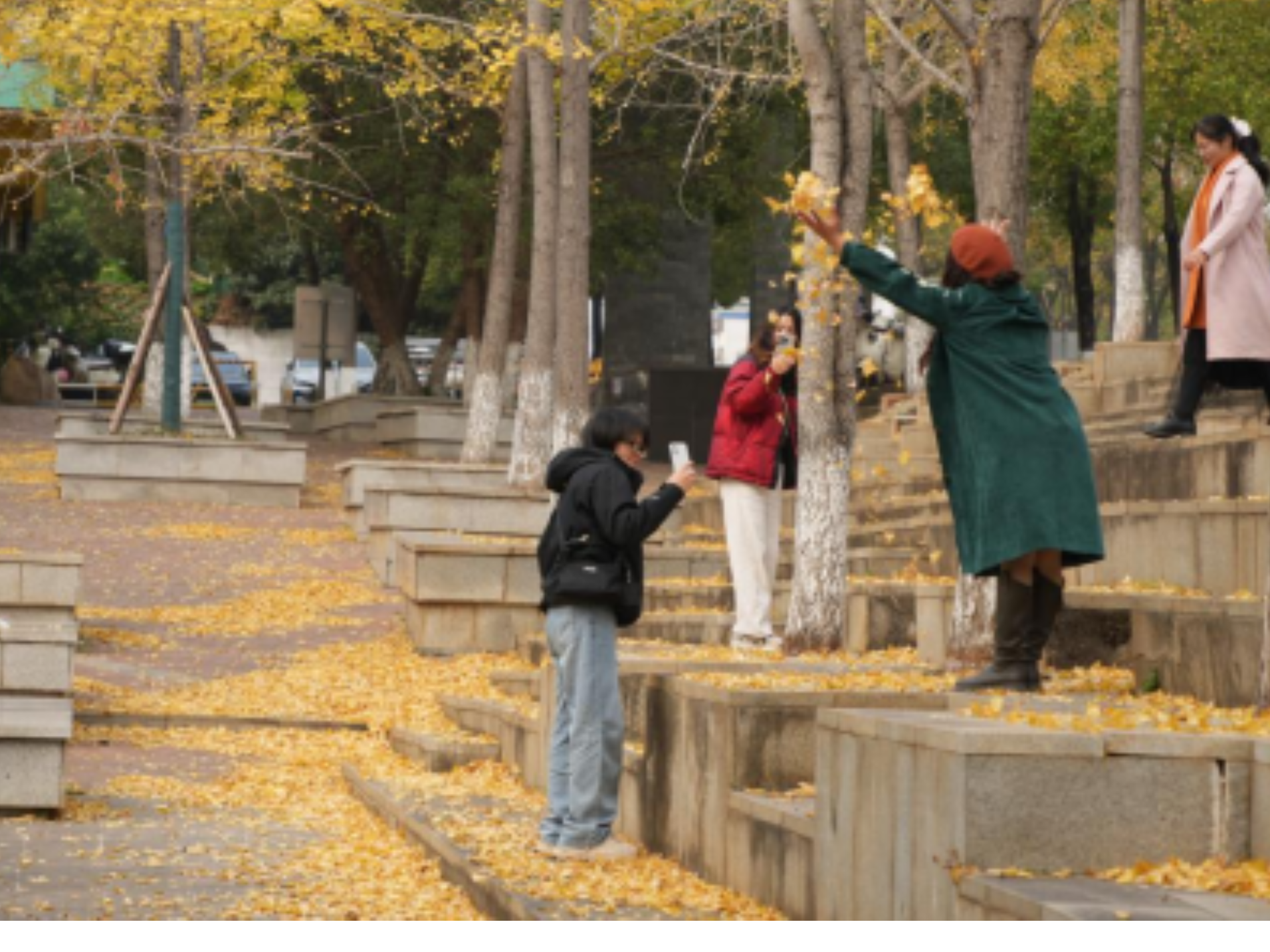 组图 | 宜章县梧塘湖公园：斑斓初冬 多姿多彩