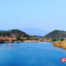 临武县聚力清剿水葫芦 绘就河湖生态新画卷