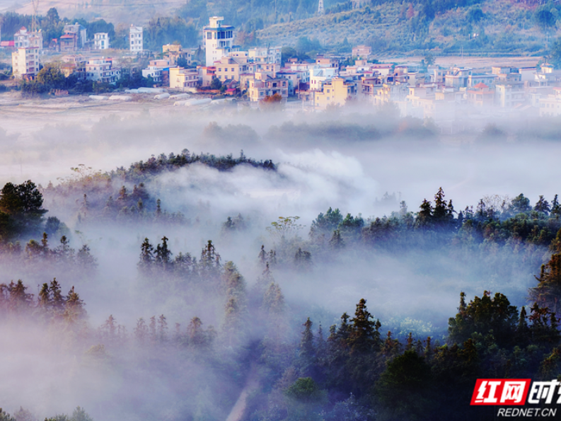 嘉禾县：冬日晨曦美如画