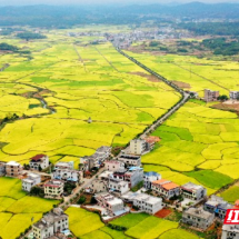 嘉禾县:城乡融合绘就美丽乡村新画卷