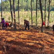 哲学里的郴州 | 安仁林下,栽种了什么“药引子”