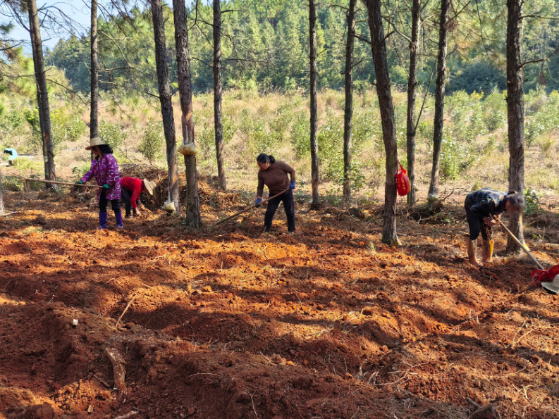哲学里的郴州 | 安仁林下，栽种了什么“药引子”