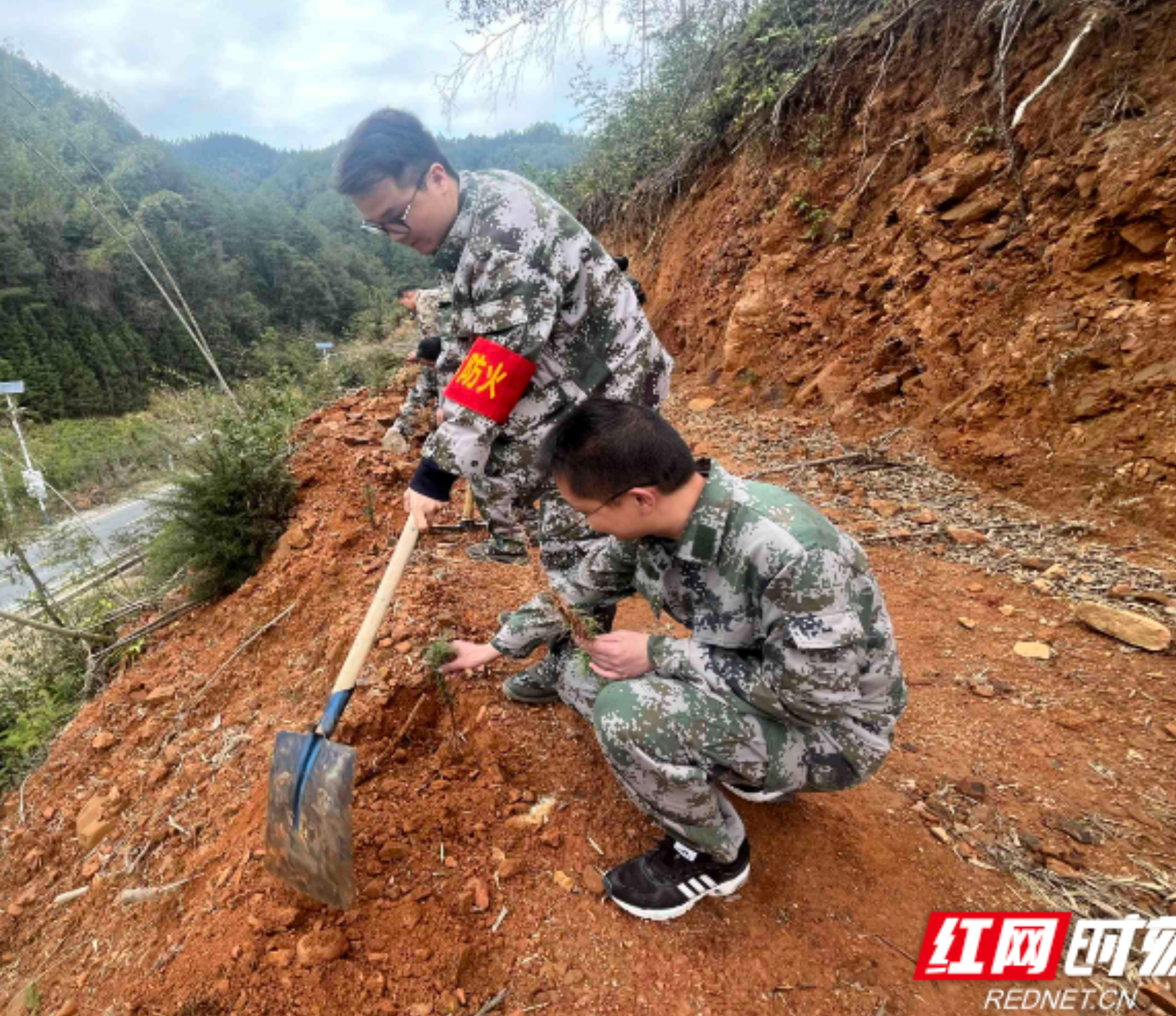 汝城大地添新绿 共筑生态新画卷