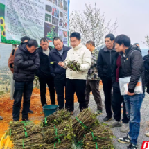 安仁：人才“活水”浇灌产业沃土 引育留用激活发展动能