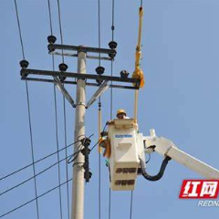 郴能公司：应用带电作业新技术 保障春耕用电“零中断”