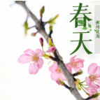 当你用诗词打开春天的北湖